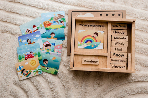 QTOYS - Weather Play Set